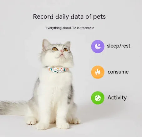 Dog Activity Tracker