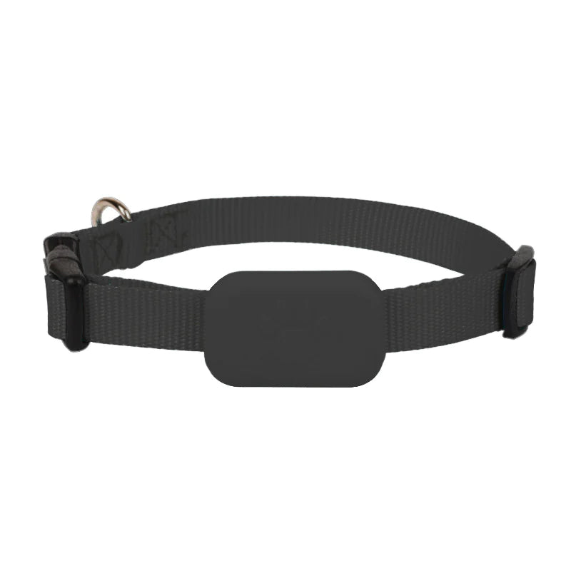 Anti-Lost Haustier Tracker