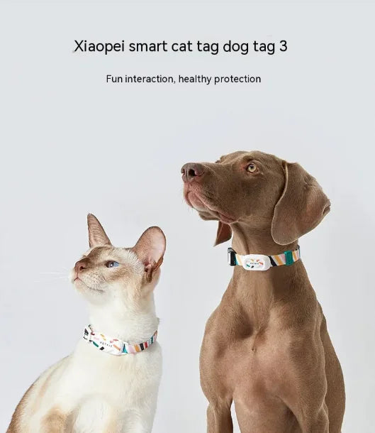 Dog Activity Tracker