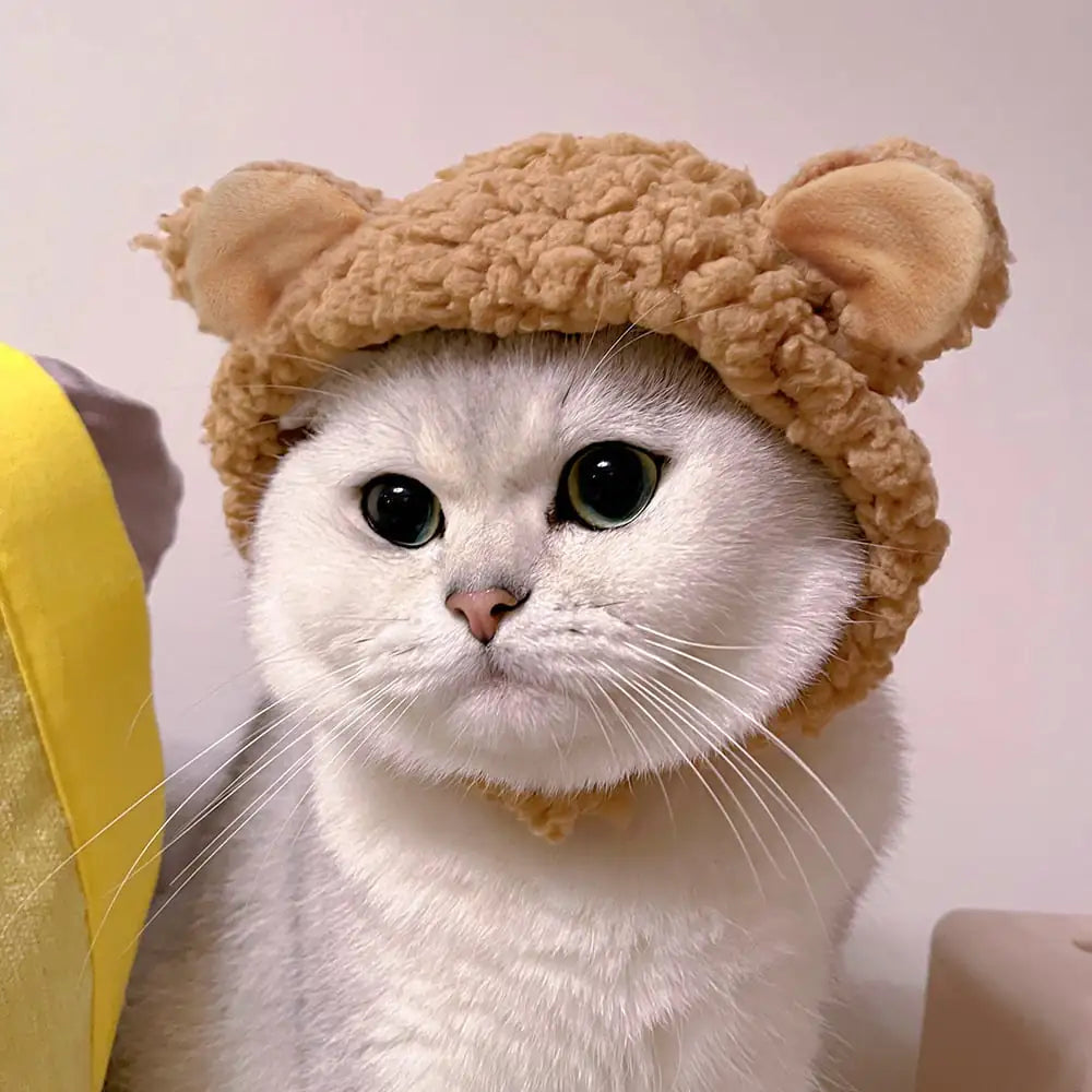Pet Cat Dekorationshut, Katzenpersönlichkeit Kreatives Kopfbedeckung