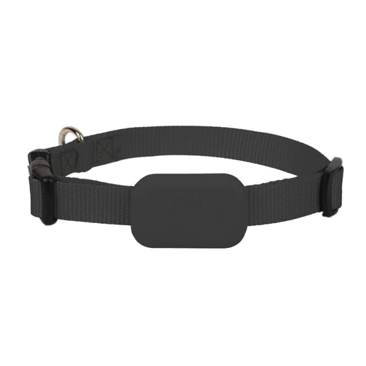 Anti-Lost Haustier Tracker